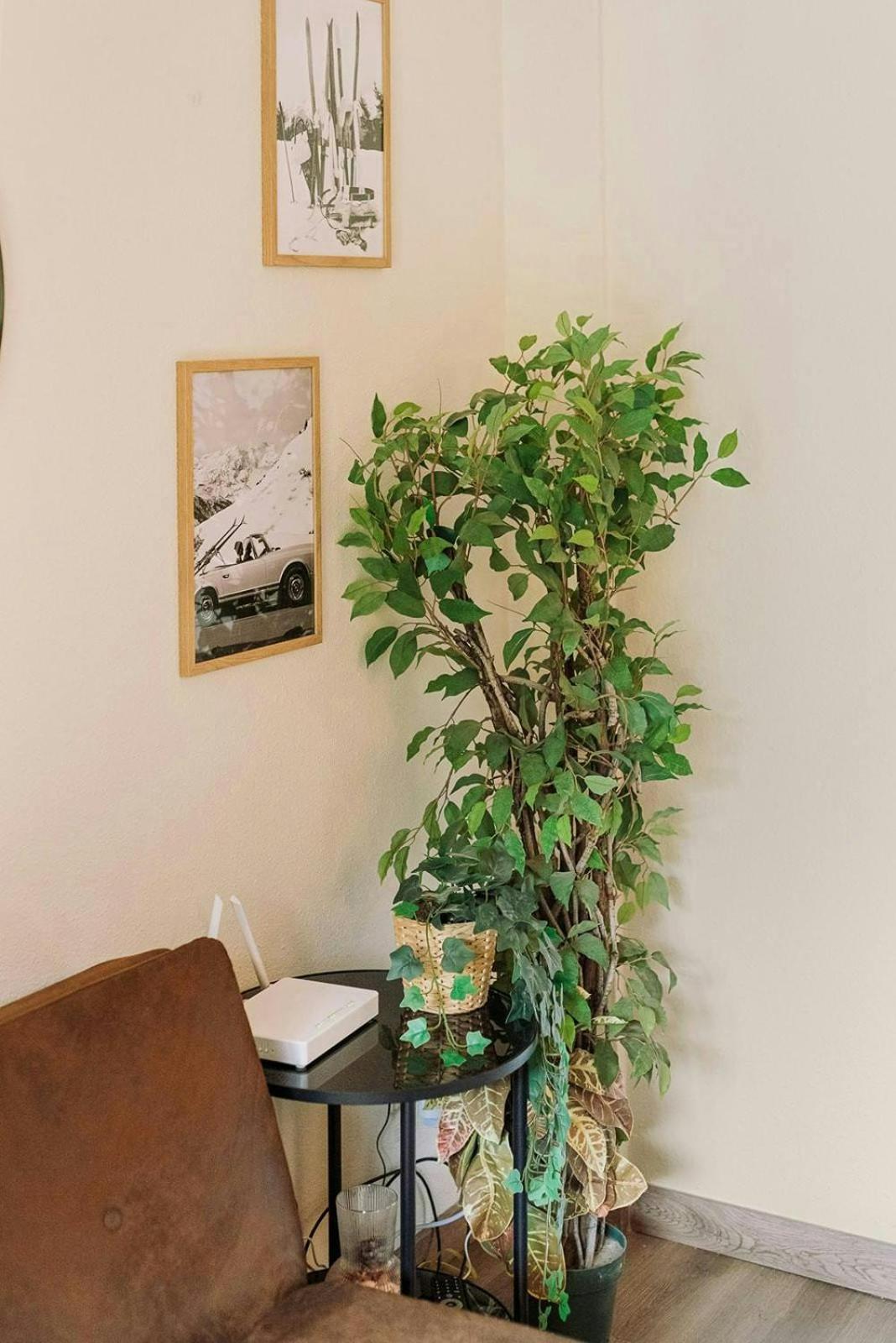 Apartamento La Casita Del Arbol Sallent de Gállego Exterior foto