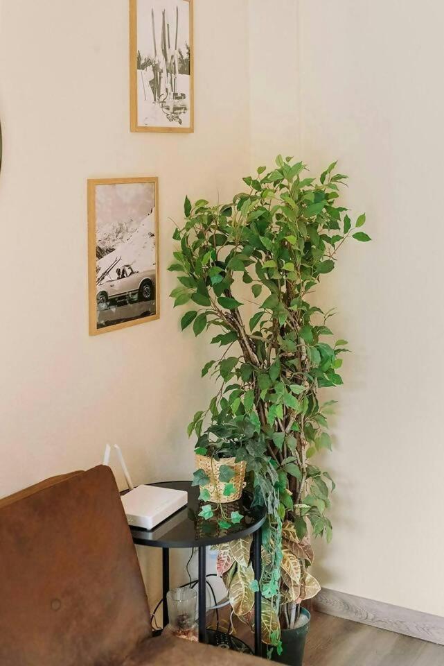 Apartamento La Casita Del Arbol Sallent de Gállego Exterior foto